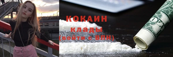тгк Лиски
