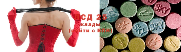 ECSTASY Кукмор