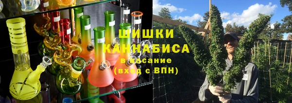 тгк Лиски