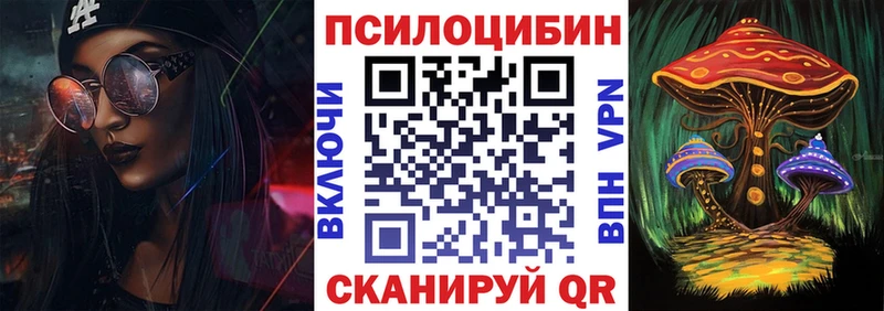 Купить  Алексин  Псилоцибиновые грибы Magic Shrooms 